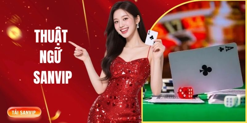 Thuật ngữ phổ biến trong SANVIP